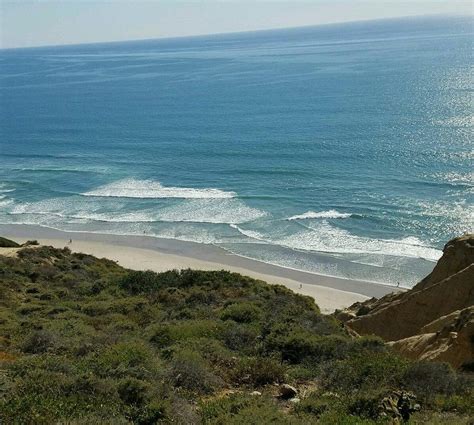 blacks beach nude|Black’s Beach in San Diego: Everything You Need To Know